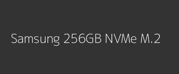 Samsung 256GB NVMe M.2